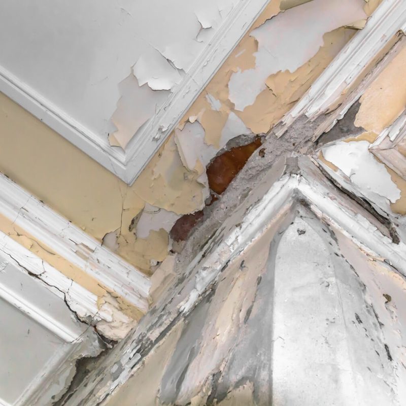 Wasserschaden an der Decke mit abblätternder Farbe – Sanierung und Ausbesserung durch Maler- und Gipserarbeiten in Solothurn und Umgebung